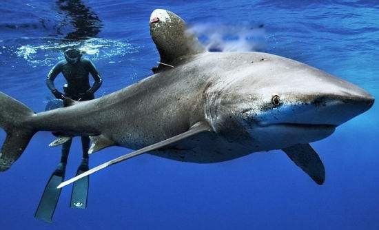 �������Ǳ��������� ���ͺ�������������