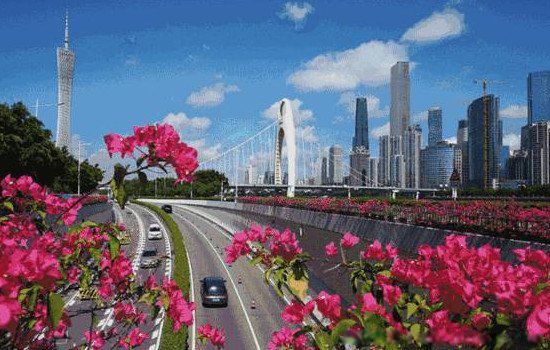 ������ҹ��ĸ����е��ų� ������ǵ�������ʲô����