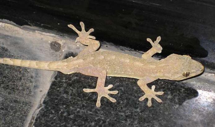 ���з���С�ڻ�ʲô���� ���Ͽ���¥�����ڻ��ò���