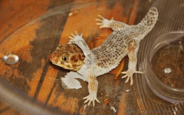 ���з���С�ڻ�ʲô���� ���Ͽ���¥�����ڻ��ò���