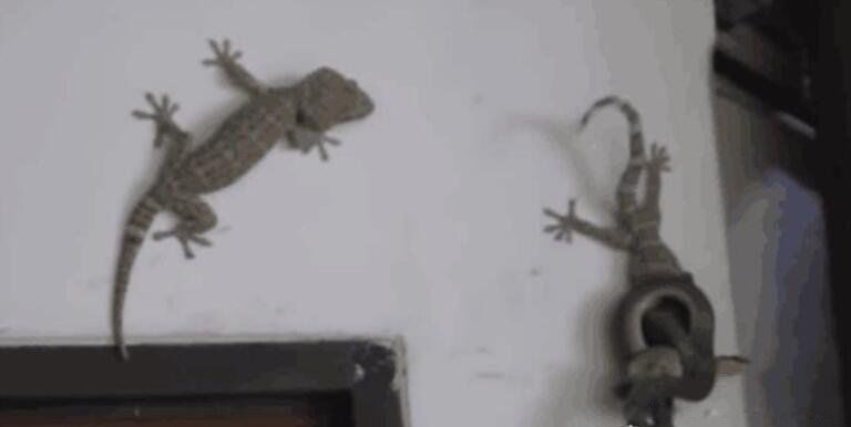 ���з���С�ڻ�ʲô���� ���Ͽ���¥�����ڻ��ò���