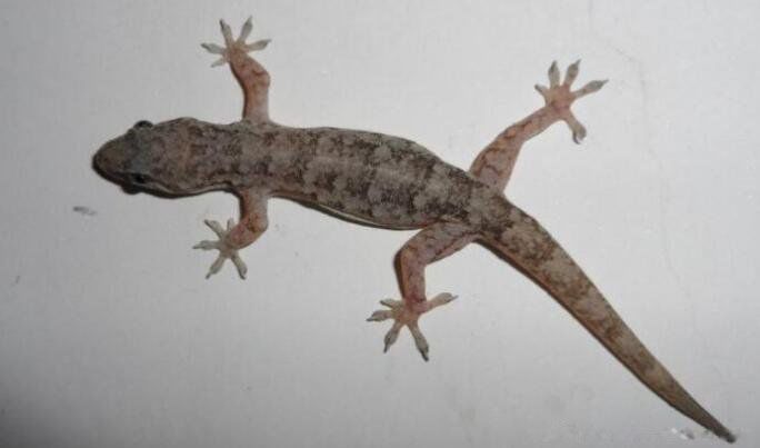 ���з���С�ڻ�ʲô���� ���Ͽ���¥�����ڻ��ò���