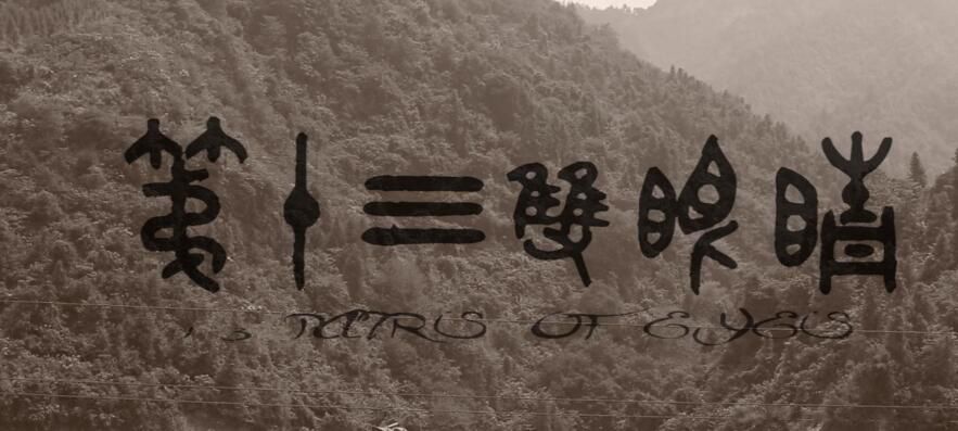 ��ʮ��˫�۾�ԭ������������� ����ֲ�����������ʲô