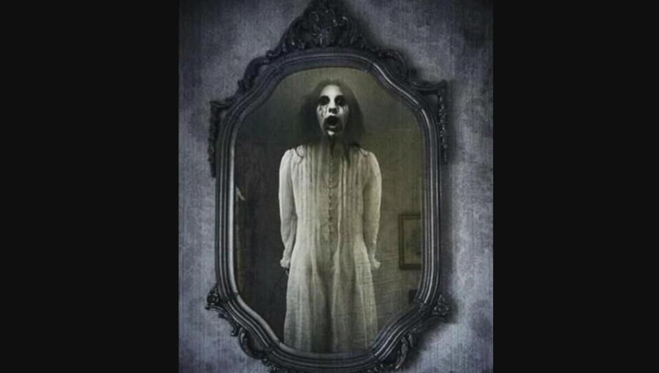 ��ʮ��˫�۾�ԭ������������� ����ֲ�����������ʲô