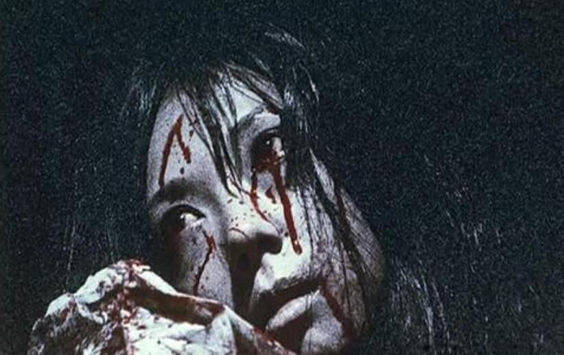 ��ʮ��˫�۾�ԭ������������� ����ֲ�����������ʲô