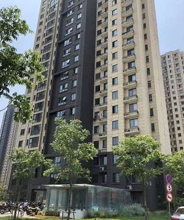 ���߲����ߵ��� ����Ϊʲô�����ߵ��ݵ�ԭ��