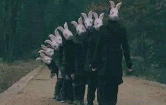 ����ʳ���ÿֲ�ͼƬ��ʲô���� ��֪������ʳ������ʲô��