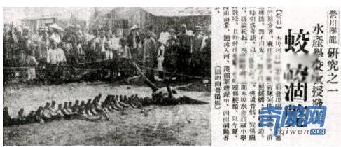 龙是真实存在的吗 发现龙的真实事件证据是什么