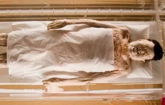 �����Ѻ�Ĺ��׷����Ϊʲô�������� Ůʬ��׷����û������Ƭ