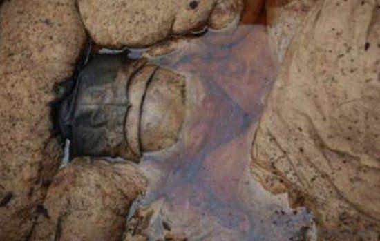 �����Ѻ�Ĺ��׷����Ϊʲô�������� Ůʬ��׷����û������Ƭ