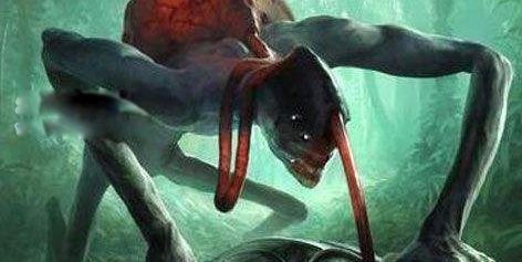 ����ħ��Ĵ����� ��ͷ�ֶ���ħ����Ƭ