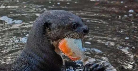 ʳ������ʲô�� ������п�����ʲô