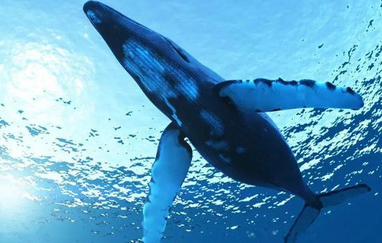 ʳ������ʲô�� ������п�����ʲô