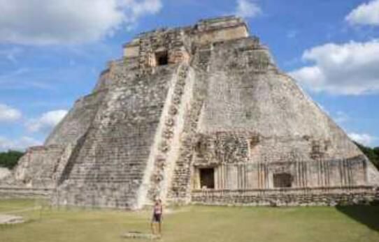 ������������������ �����������ĵ���ֻ����ʲô