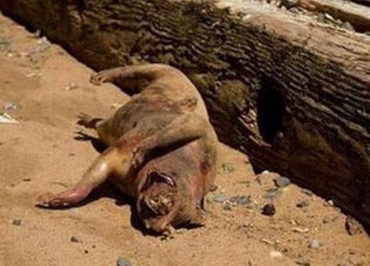 ׿�ؿ�������ʵͼƬ ��Ѫ����׿�ؿ�������Ĵ�����