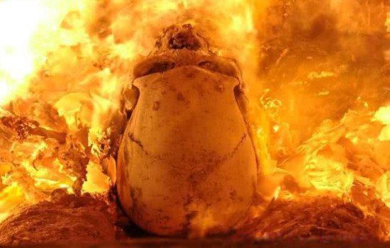 尸油方便面事件 魔法士干脆面尸油事件是真的吗