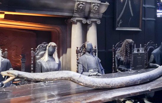 ����ħ���߸������ֱ���ʲô,������ô�����ٵ�