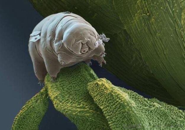 ˮ�ܳ���Ĳ�������ɱ������ ���������˭