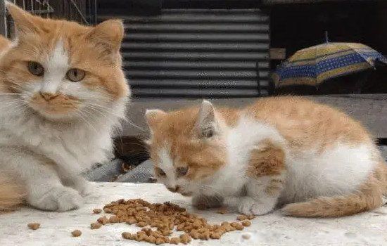 è��ǰ��֢״����Щ ����ǰ��ʲô����