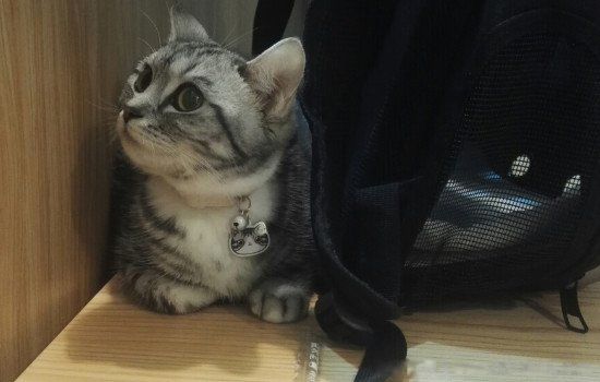 è��ǰ��֢״����Щ ����ǰ��ʲô����