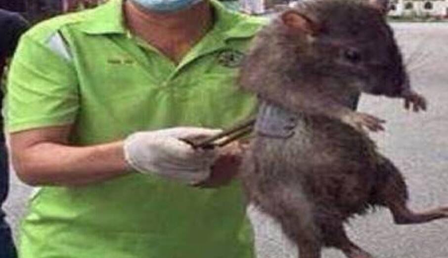 ����������ʲôƷ�ֶ��� ���;޴�������ж�����ض���