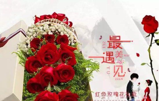 �Ͷ���11��õ�廨������ 11��õ�����ʲô��˼