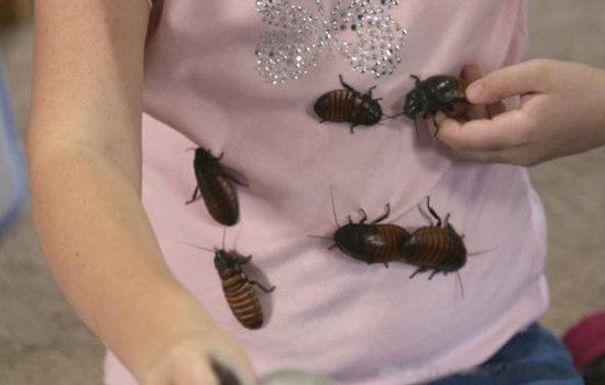 �������������ô�� ����˯�����᲻�῿����