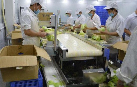 加工厂加工什么比较好 小型加工厂好项目排行榜