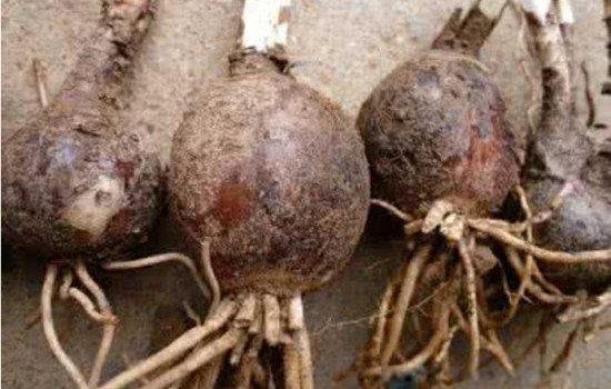 �˰���Ϊʲô�����˻� Ϊʲô������������ԭ��