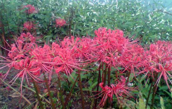 �˰���Ϊʲô�����˻� Ϊʲô������������ԭ��