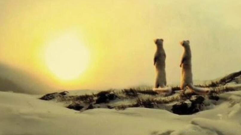 �����ǰ���������ô���� �������ǰ�����ʵ�¼�