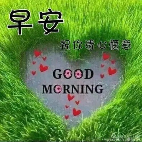 �簲ͼƬ����ͼƬ �������Ϻ�ͼƬ���°��