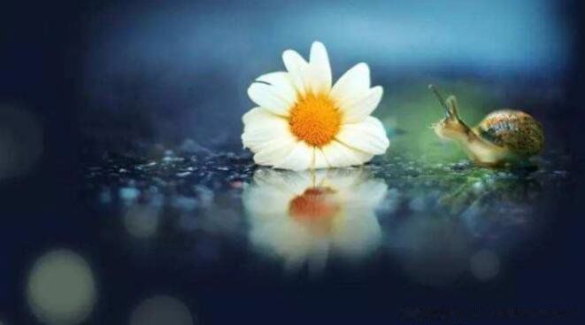 想念一个人的暖心情话 20条相思之苦的经典句子