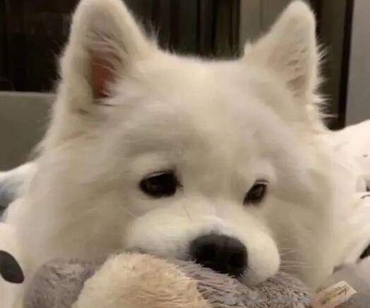 �޹�����ʲô��˼�������� ����ʦ�޹�����ɶ��˼��֪����