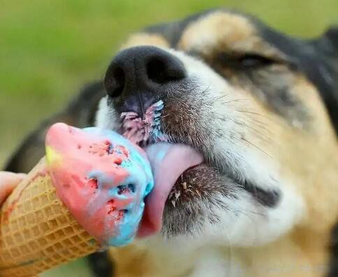 �޹�����ʲô��˼�������� ����ʦ�޹�����ɶ��˼��֪����