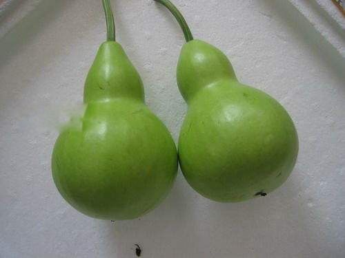 ��«��ͼƬ�����빦Ч ��ʲô���ӵ�