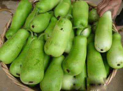 ��«��ͼƬ�����빦Ч ��ʲô���ӵ�