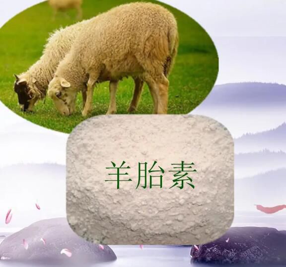 ˹�ٸ�����̥��ʲôʱ��Ĺ� ˵˹�ٸ�����ʦ����̥�ص���˭