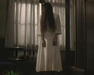 �ձ�4��ֲ���˵ ������Ļ����Ǵ���������