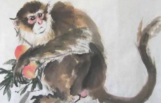 1992年属猴是什么命 属猴女人的命运好不好