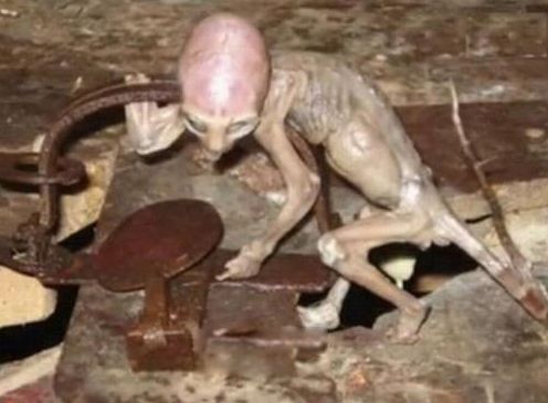 �����˴����� ���ص���������ʲô��˼