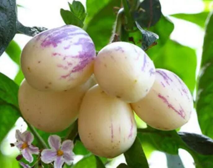 �˲ι������������� �˲ι���Ӫ����ֵ����Ч