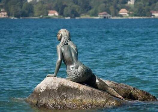 海牛是美人鱼吗 它为什么是传说中的美人鱼