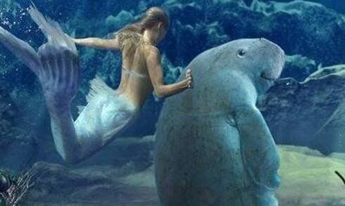 海牛是美人鱼吗 它为什么是传说中的美人鱼