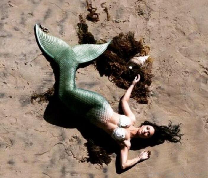 海牛是美人鱼吗 它为什么是传说中的美人鱼