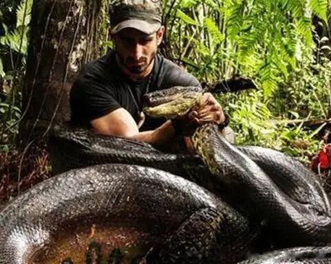 多头蛇真实存在吗 最多头的蛇是什么蛇