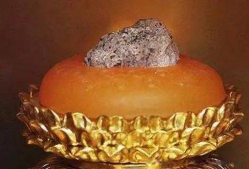 ʲô����������ͼƬ�� �������Ĳ�����������ʲô����