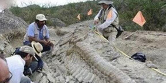 ����ɽ�������˵���Ƭ ���������¼���ʵ��