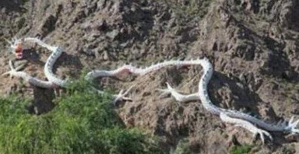 ����ɽ�������˵���Ƭ ���������¼���ʵ��