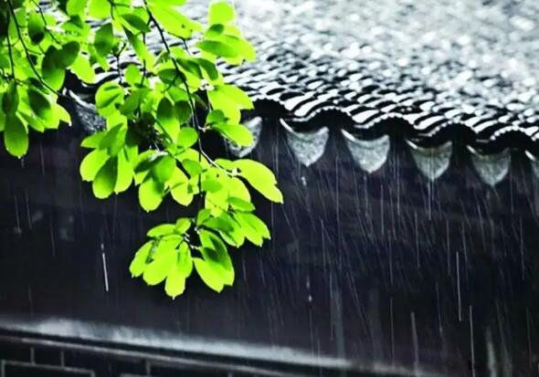 ÷�꼾�����ļ��� ÷�꼾��2022ʲôʱ�����